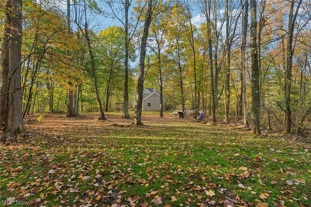 31 Louise Drive Chagrin Falls OH 44022