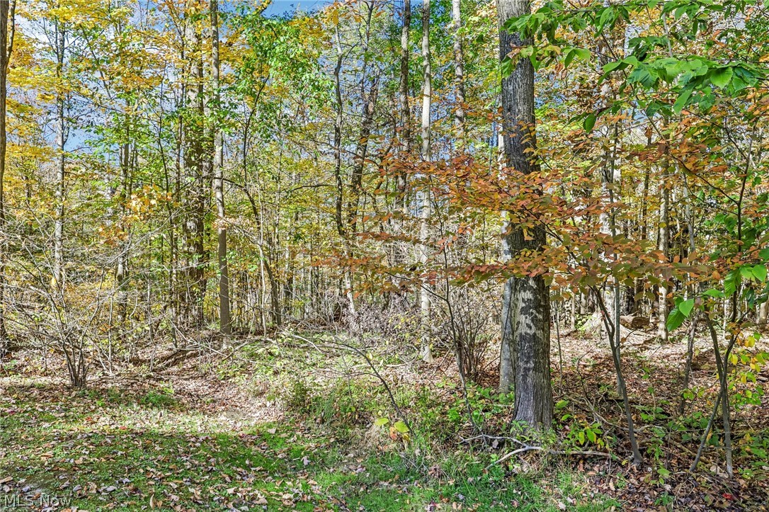 31 Louise Drive Chagrin Falls OH 44022