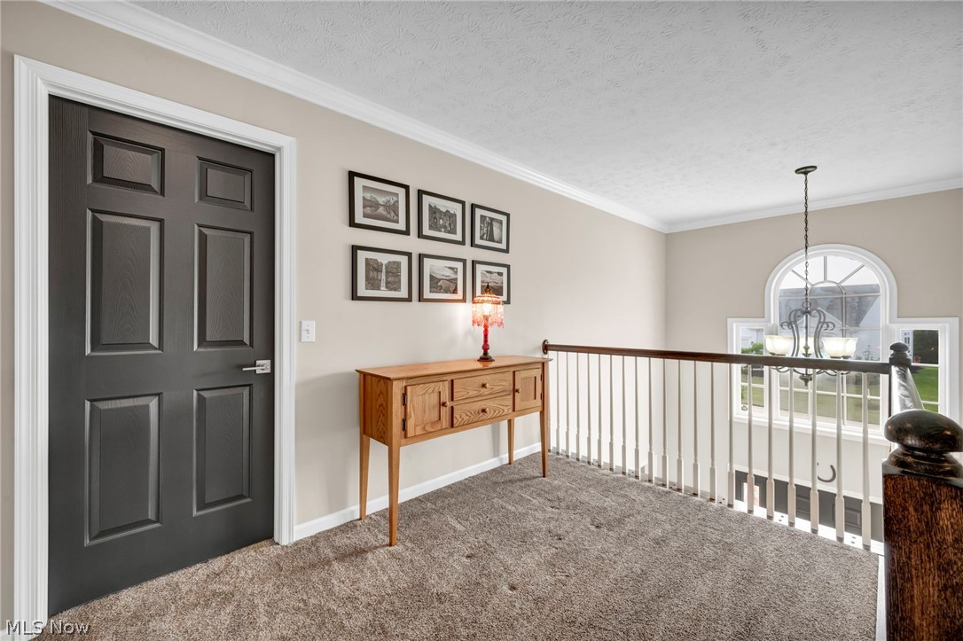 4331 Belmont Court Medina OH 44256