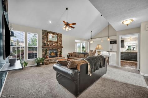 4331 Belmont Court Medina OH 44256