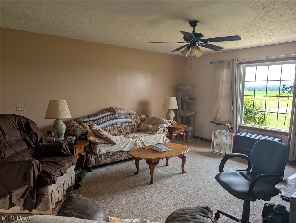 25485 Clark Road Wellington OH 44090