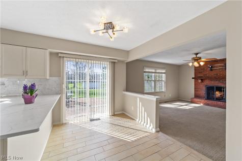 6920 Longview Drive Solon OH 44139