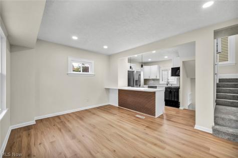 2077 Wyandotte Avenue Lakewood OH 44107