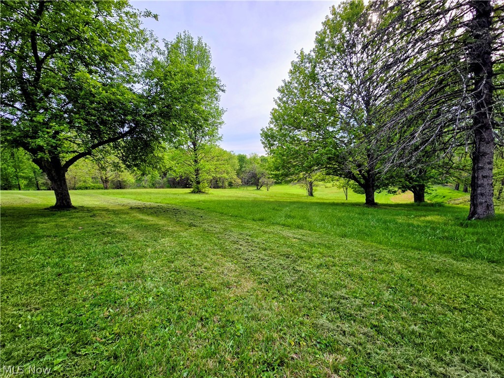 8570 County Road 39 Bloomingdale OH 43910