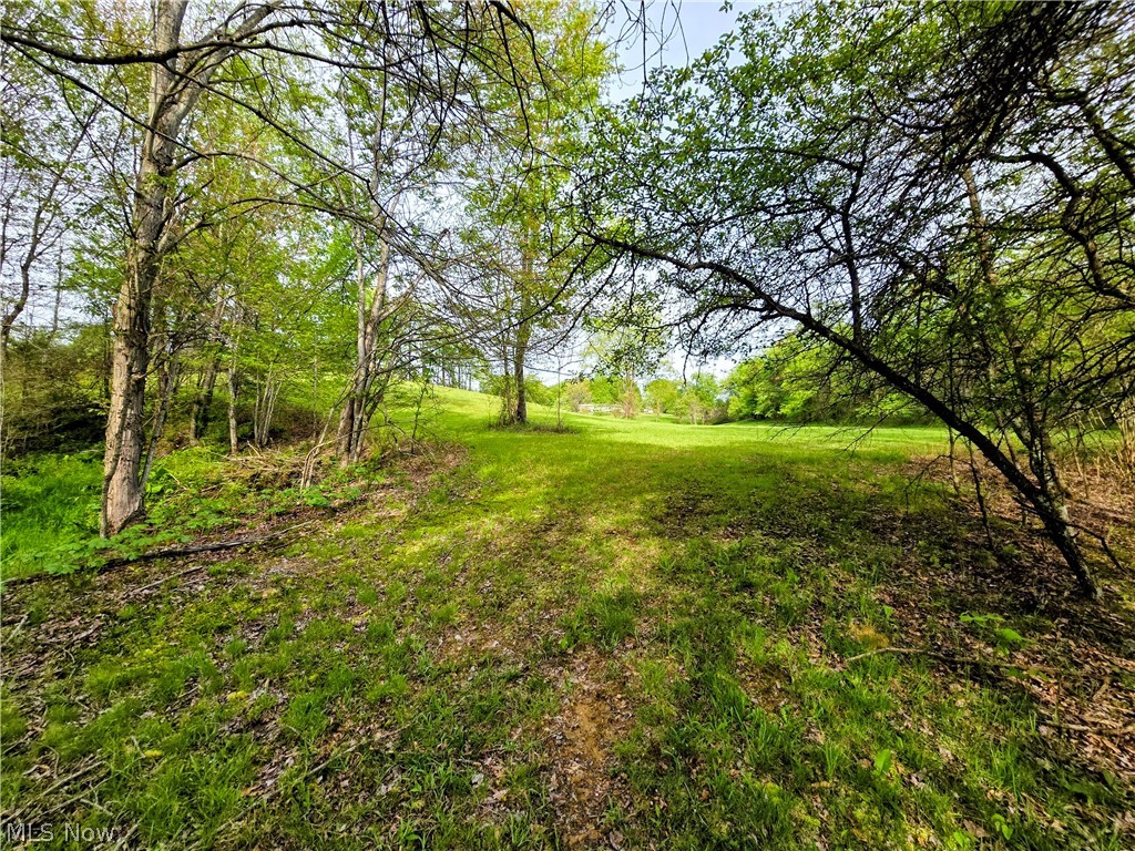 8570 County Road 39 Bloomingdale OH 43910
