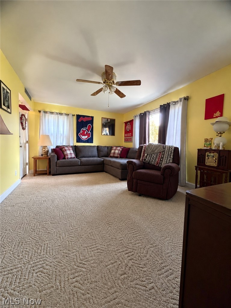 3736 Argonne Street Mogadore OH 44260