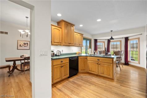 12488 Baumhart Road Amherst OH 44001
