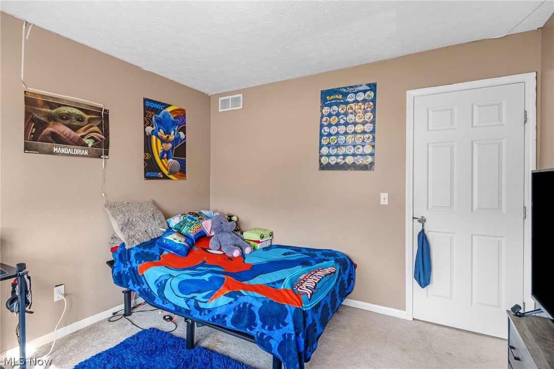 5577 Shawnee Trail Chippewa Lake OH 44215
