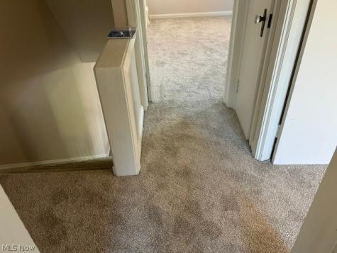 3381 Sutton Road Shaker Heights OH 44120