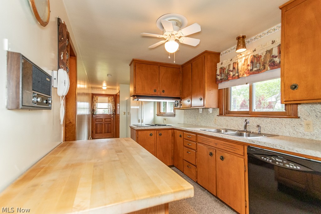 7003 Parmelee Drive Mentor OH 44060