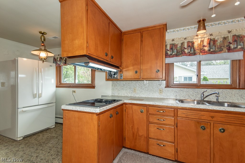 7003 Parmelee Drive Mentor OH 44060