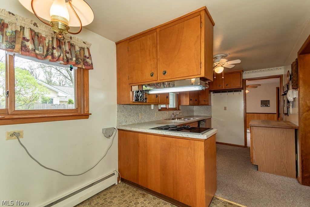 7003 Parmelee Drive Mentor OH 44060