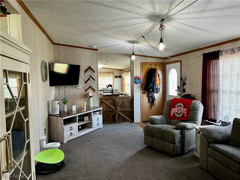 224 Woodvue Lane Wintersville OH 43953