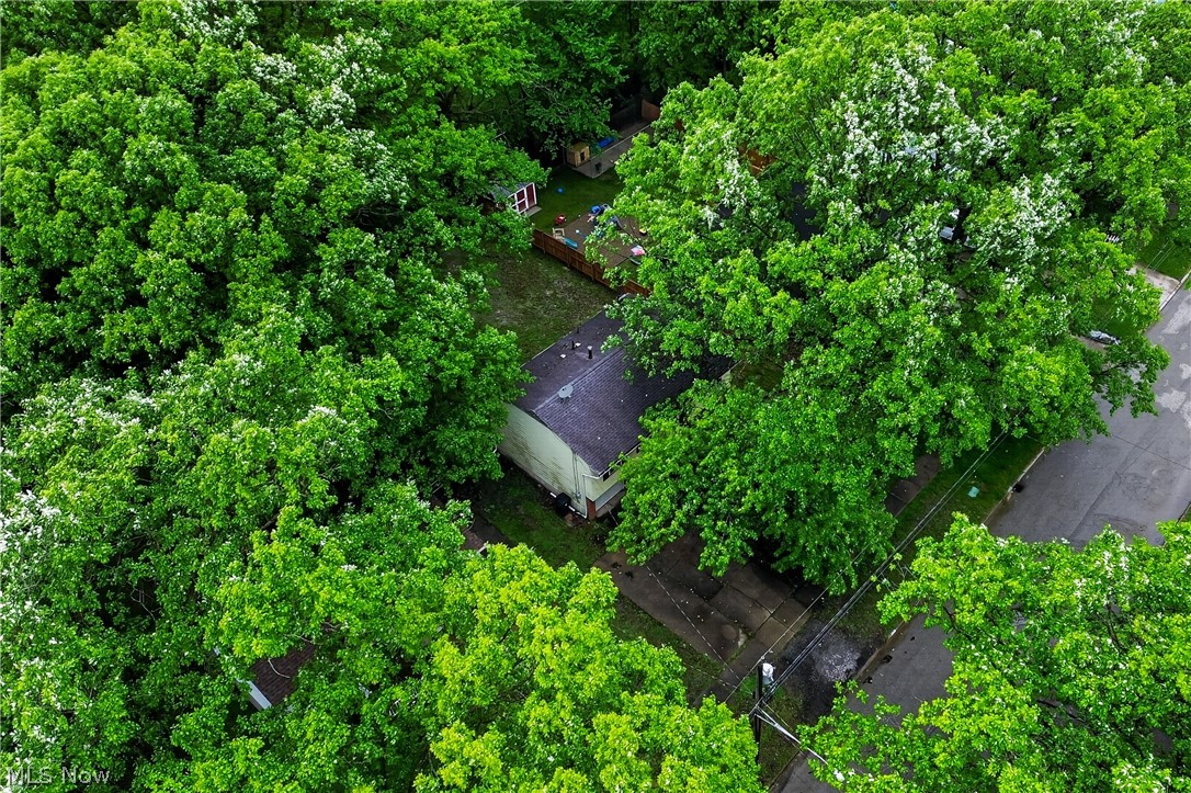 2964 Williamsburg Street NW Warren OH 44485