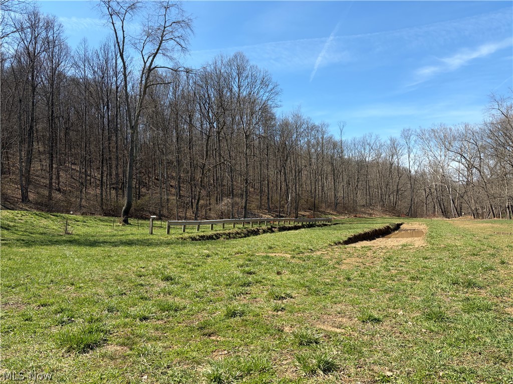 1285 Moody Hollow Road Blue Rock OH 43720