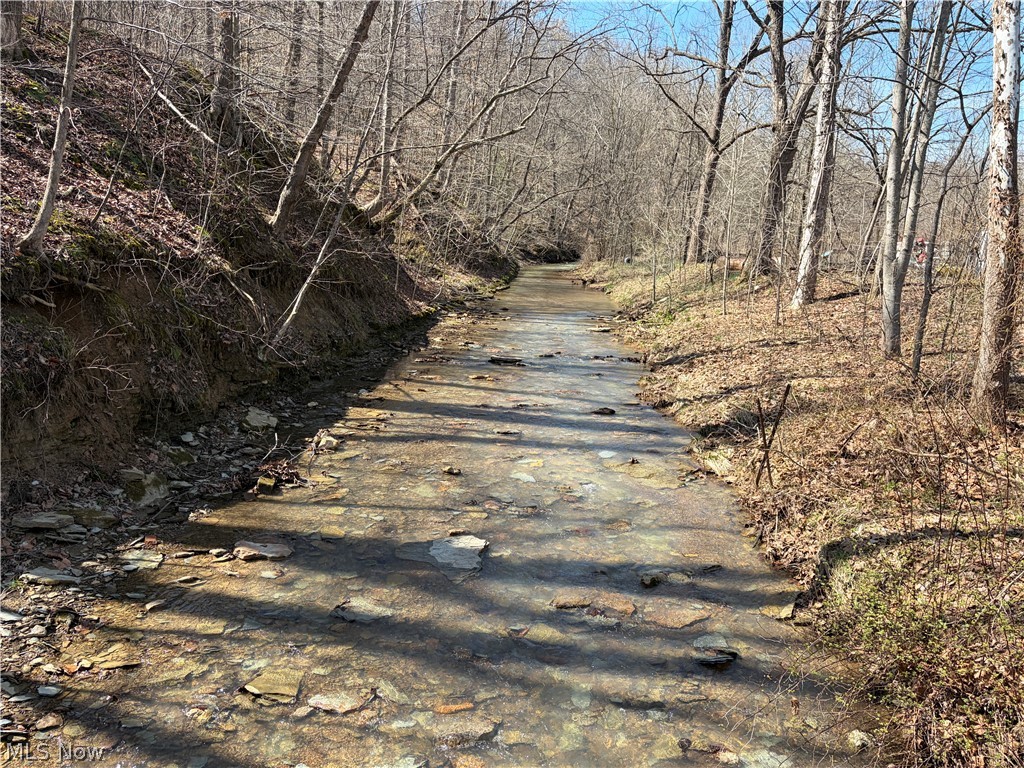1285 Moody Hollow Road Blue Rock OH 43720