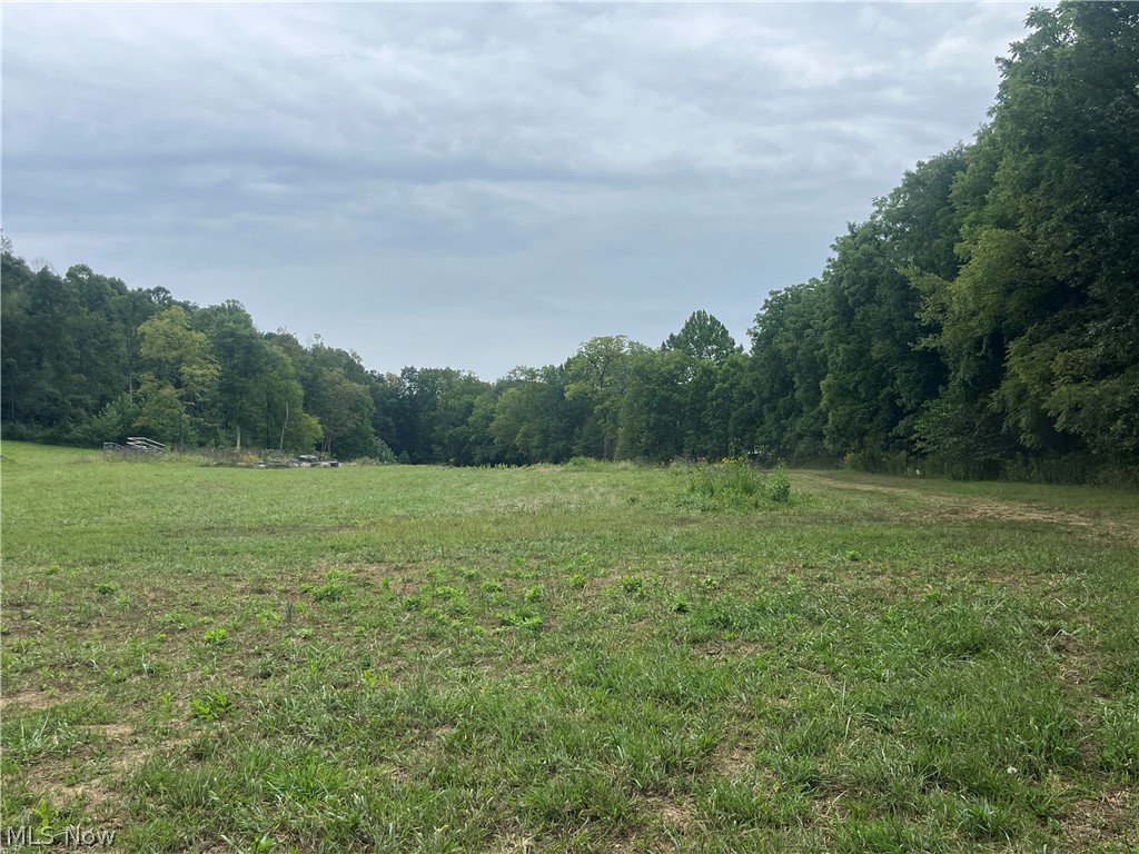 1285 Moody Hollow Road Blue Rock OH 43720