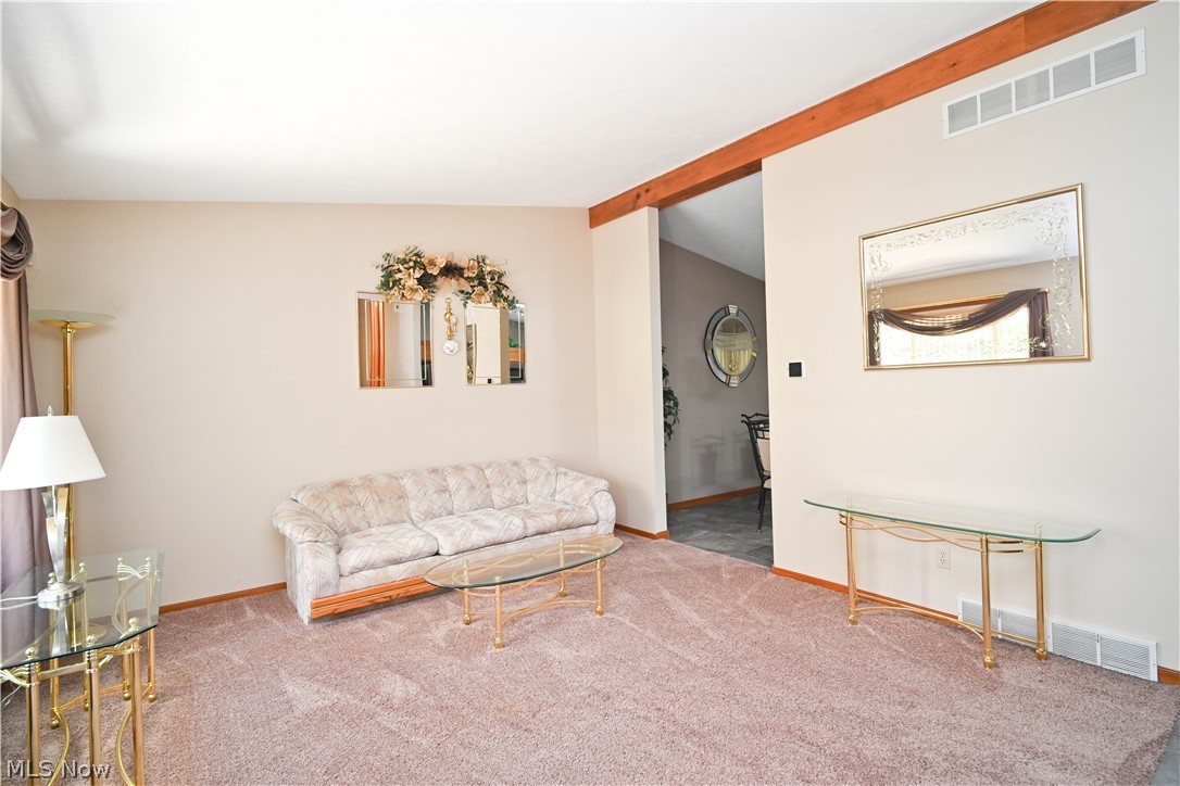 3608 Meander Reserve Circle Canfield OH 44406