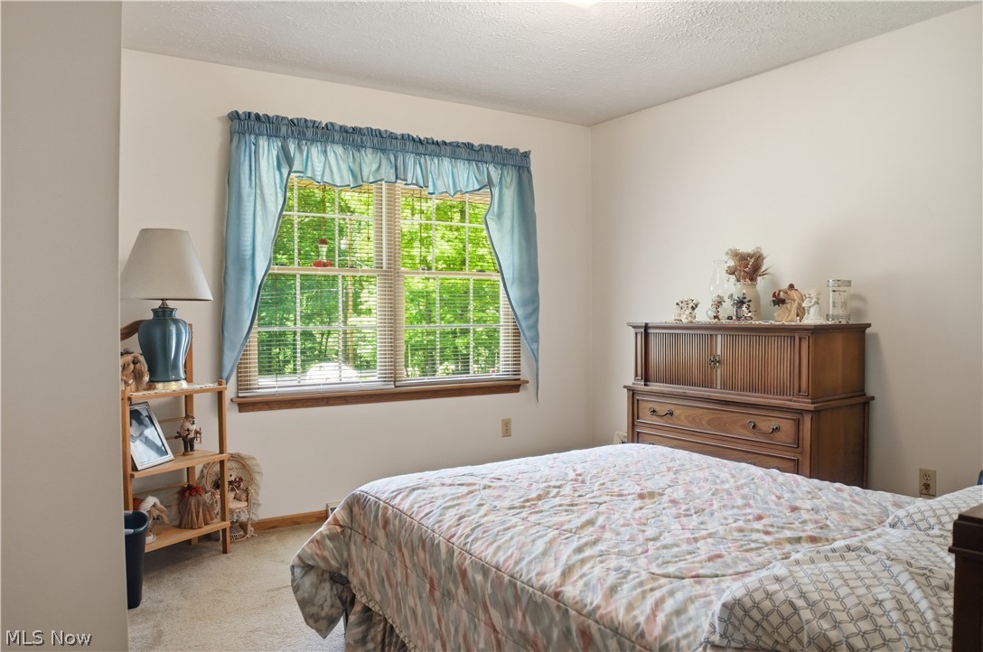 48266 Dyke Road Negley OH 44441