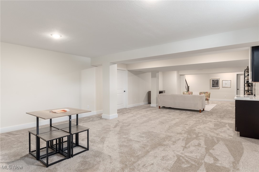 4339 Oak Ridge Trail Brunswick OH 44212