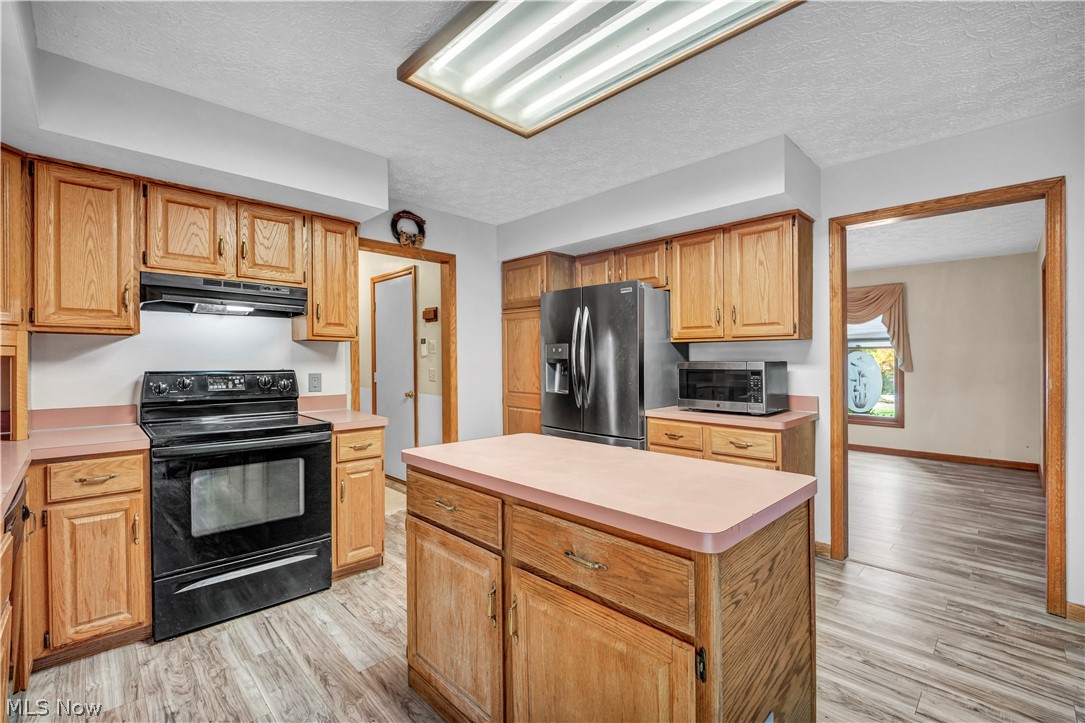 10161 S Hampton Court Mentor OH 44060