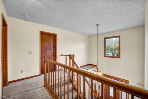 10161 S Hampton Court Mentor OH 44060
