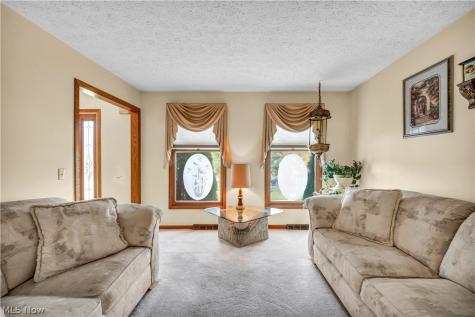 10161 S Hampton Court Mentor OH 44060