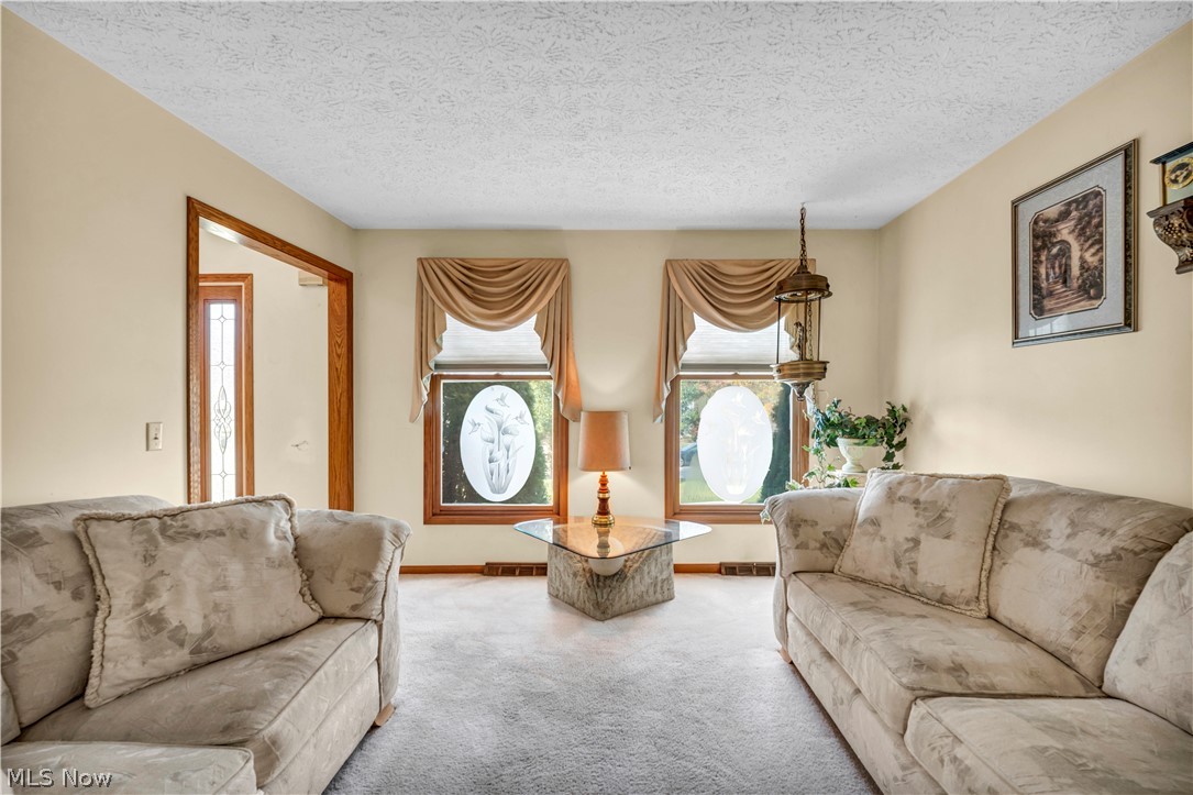 10161 S Hampton Court Mentor OH 44060