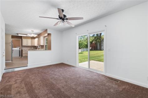 3865 Silver Wood Drive Stow OH 44224