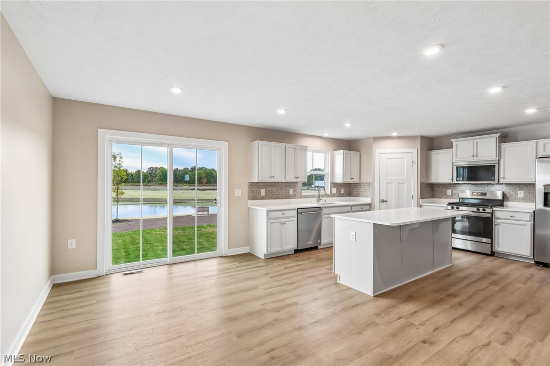 4223 Hidden Village Drive Perry OH 44081