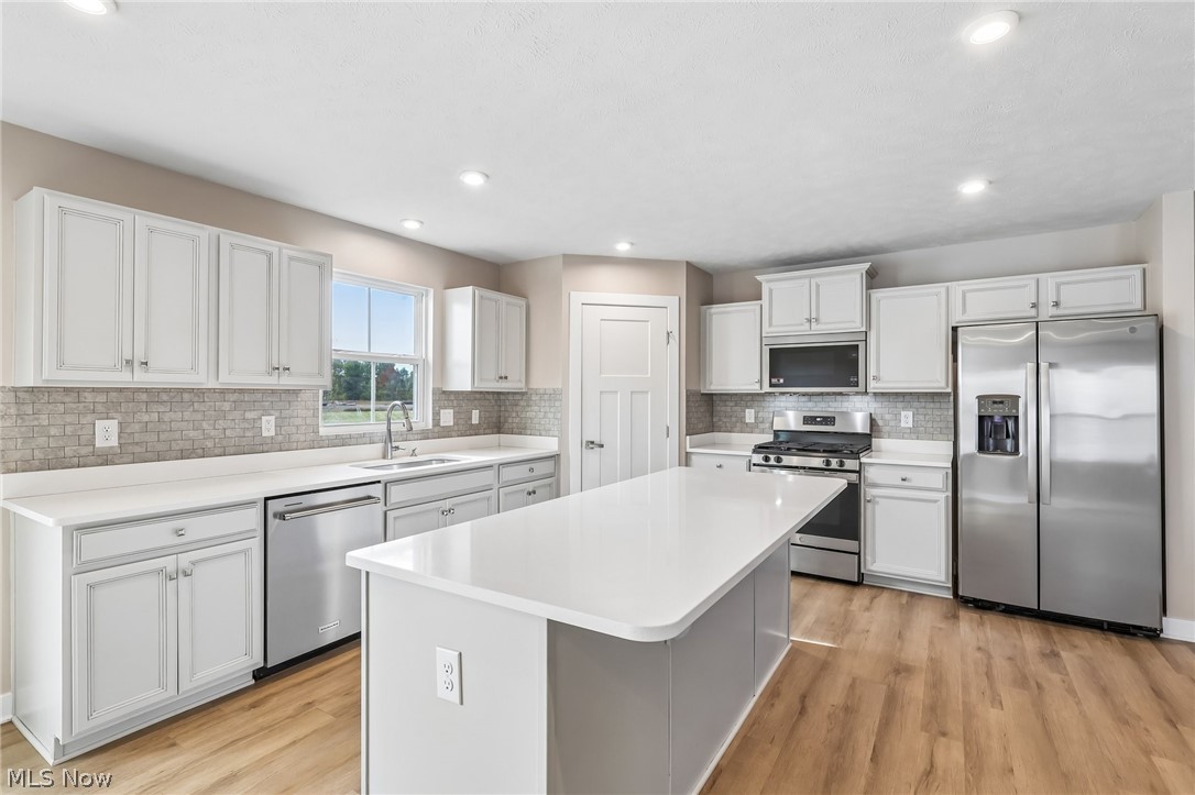 4223 Hidden Village Drive Perry OH 44081