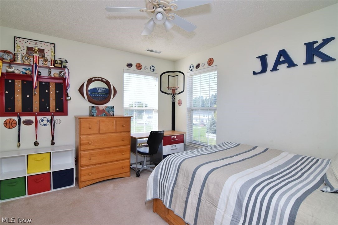 2752 Pinegate Drive Norton OH 44203
