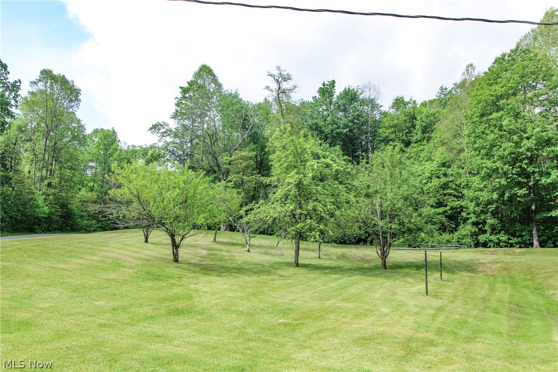 10195 Goosecreek Road Roseville OH 43777