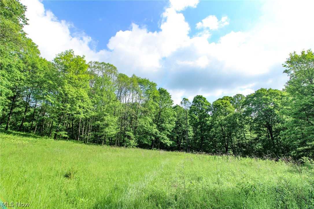 10195 Goosecreek Road Roseville OH 43777