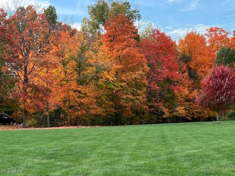 10460 Thicket Trail Doylestown OH 44230