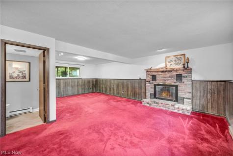 753 Poplar Drive Brunswick OH 44212