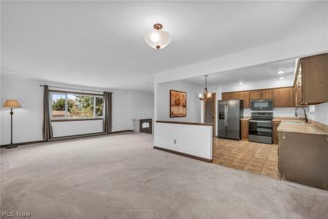 753 Poplar Drive Brunswick OH 44212