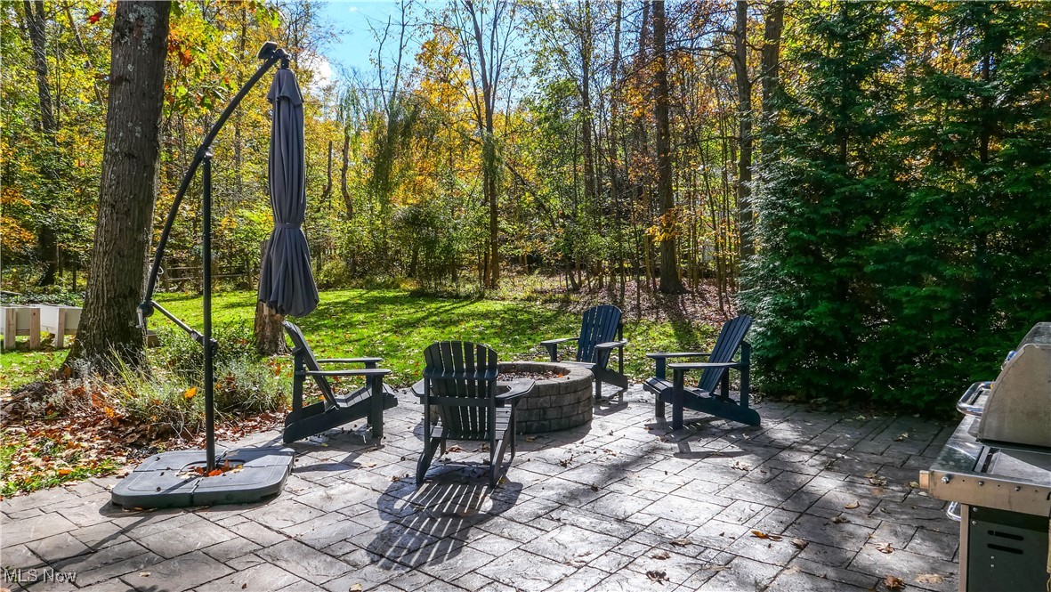 7350 Herrick Park Drive Hudson OH 44236