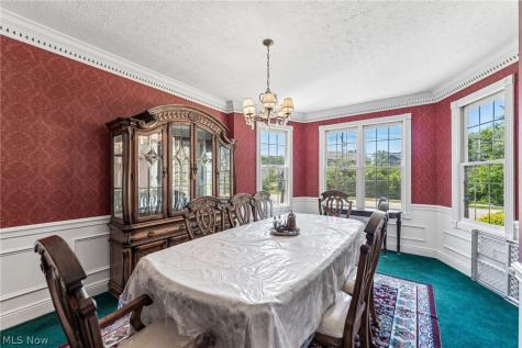 9393 Goodell Court Mentor OH 44060