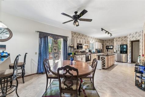 9393 Goodell Court Mentor OH 44060