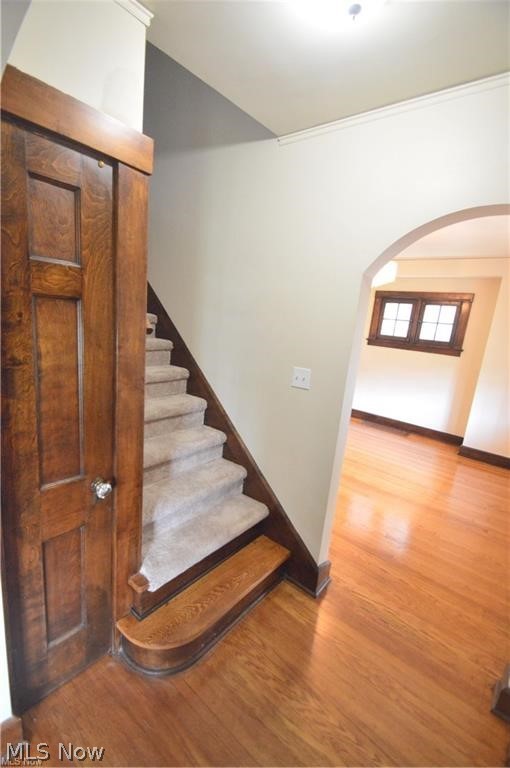 456 Norwood Avenue Youngstown OH 44504