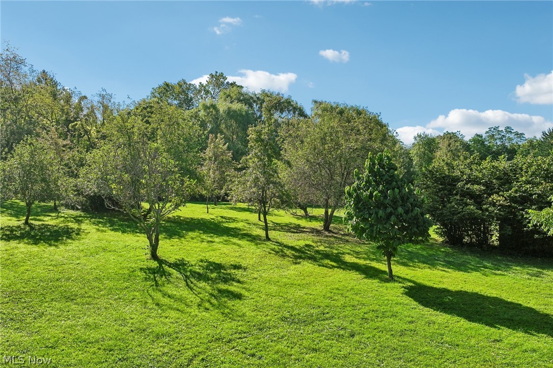 4311 Wadsworth Road Norton OH 44203