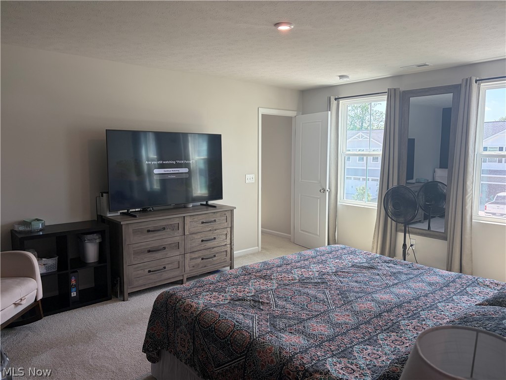 3731 Kirkham Drive Norton OH 44203