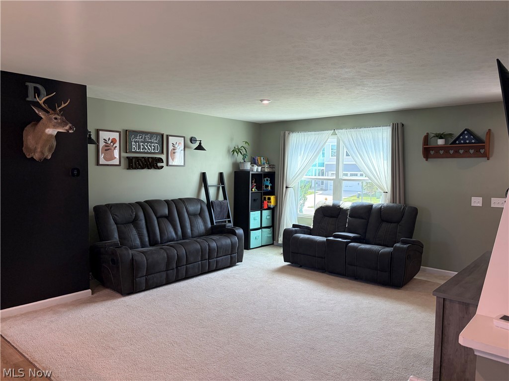 3731 Kirkham Drive Norton OH 44203