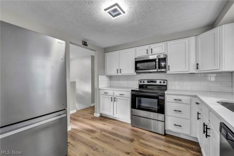 8742 Usher Road Olmsted Twp OH 44138