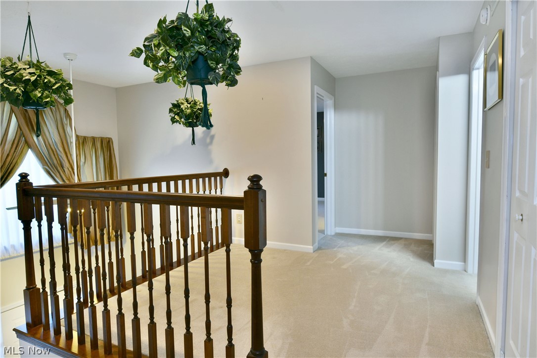 19 Spring Creek Drive Cortland OH 44410