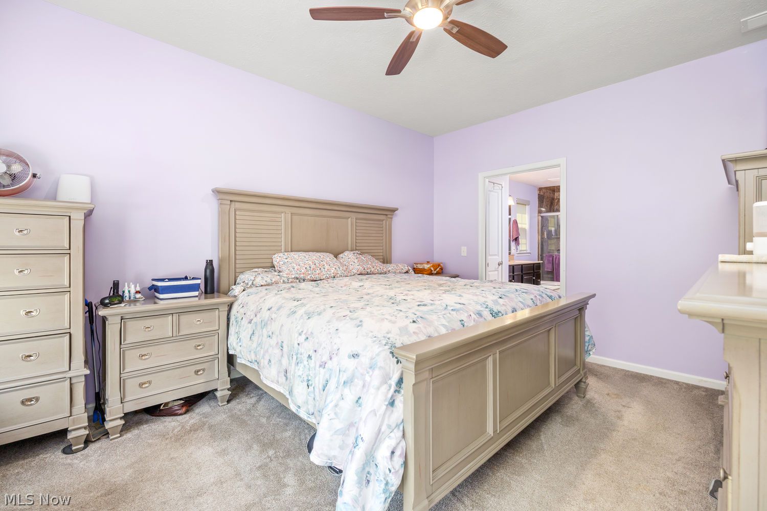 6757 Maplebrooke Trace Medina OH 44256