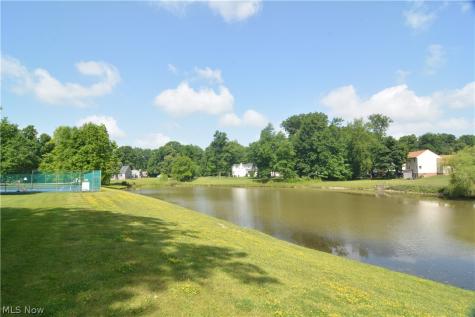 946 Ptarmigan Trail Brunswick OH 44212