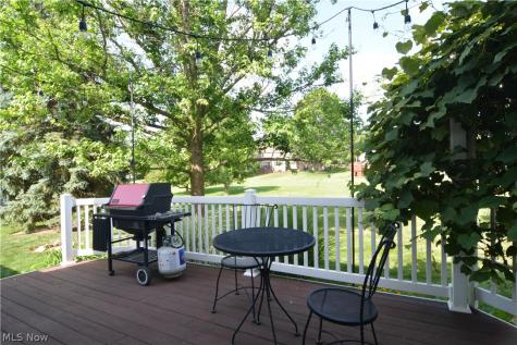 946 Ptarmigan Trail Brunswick OH 44212
