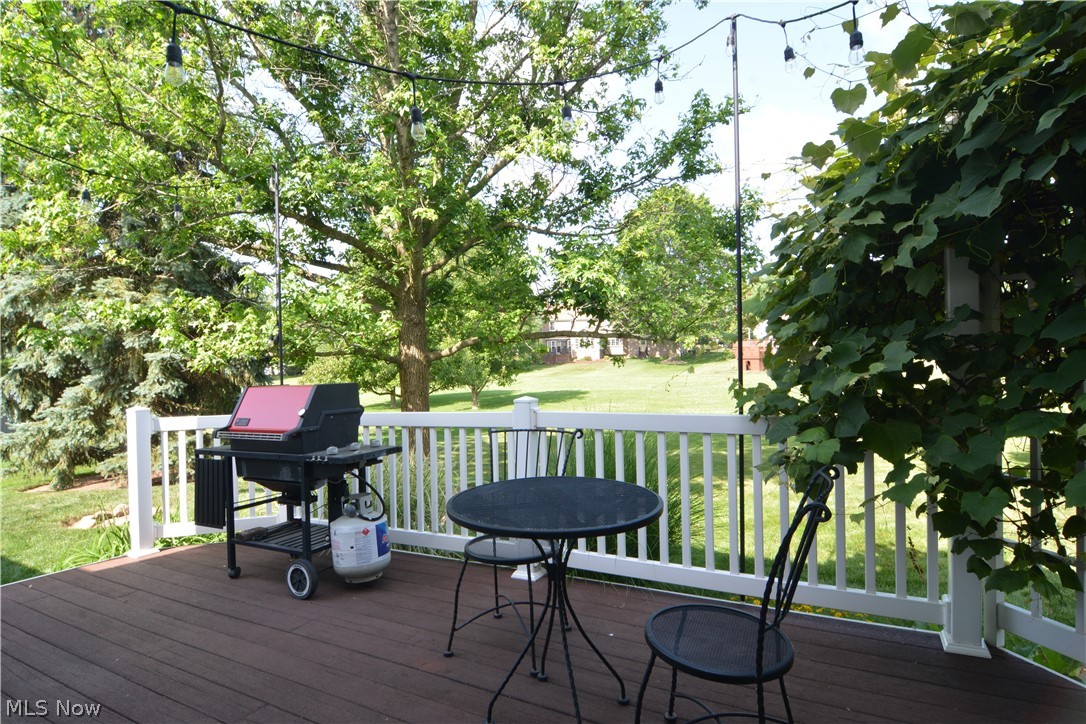 946 Ptarmigan Trail Brunswick OH 44212